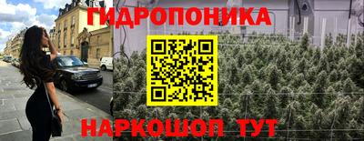 Альфа ПВП Будённовск