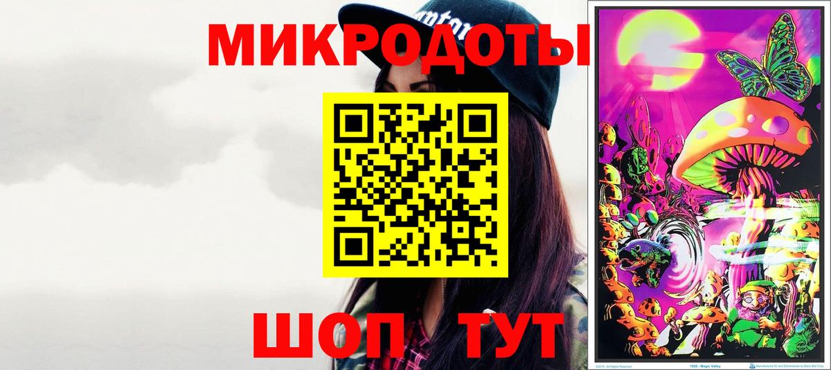 Псилоцибиновые грибы Psilocybe Шарыпово